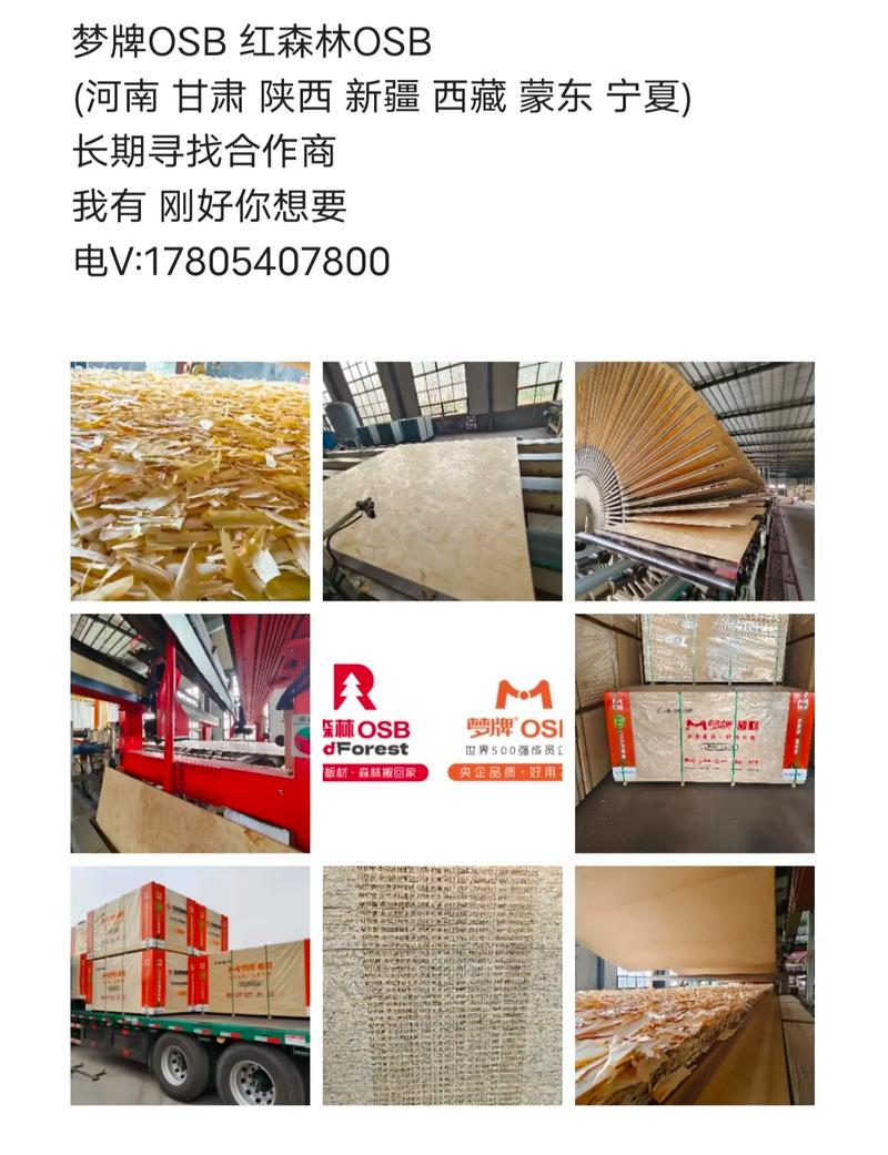 只做欧松板 寻找意向合作商北新梦牌osb于红森林osb 全